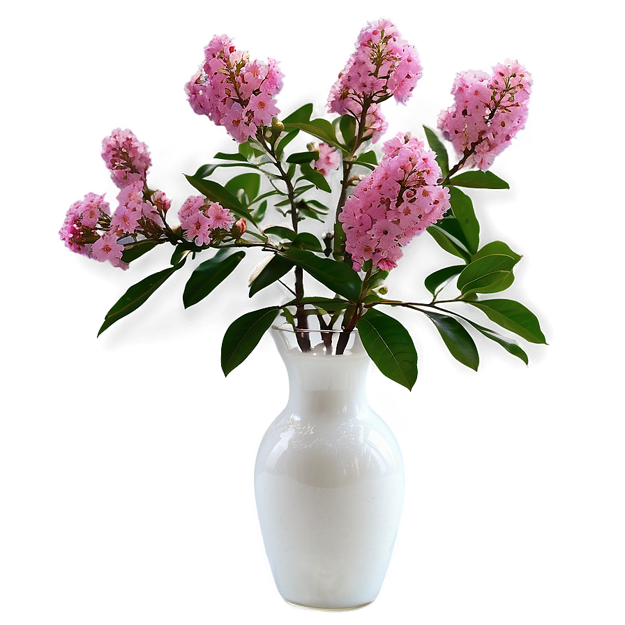 Crepe Myrtle In Vase Png 06282024 PNG Image