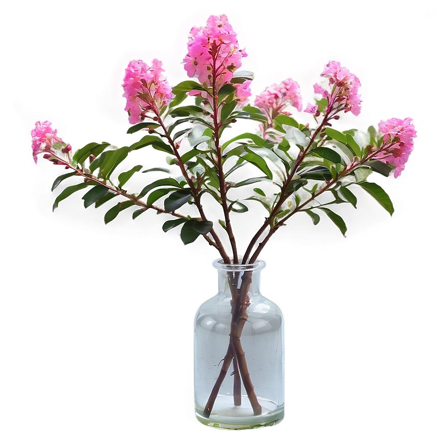 Crepe Myrtle In Vase Png Dnl98 PNG Image