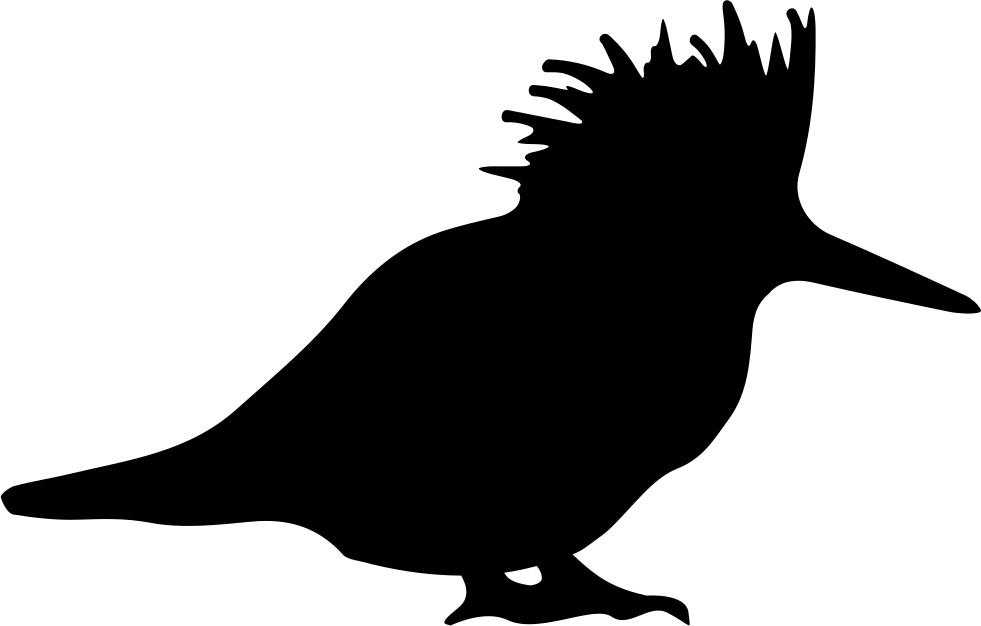 Crested Bird Silhouette Graphic PNG Image