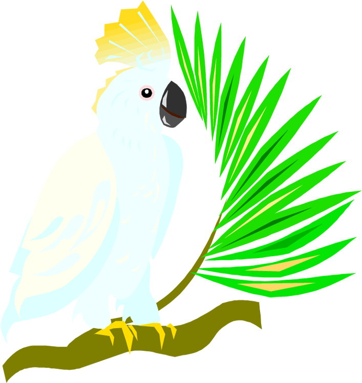 Crested Cockatoo Vector Illustration PNG Image