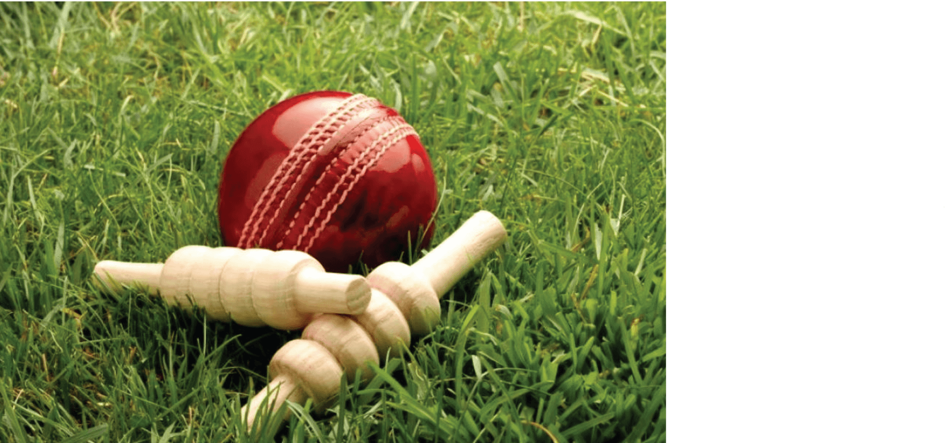 Cricket Balland Bailson Grass PNG Image