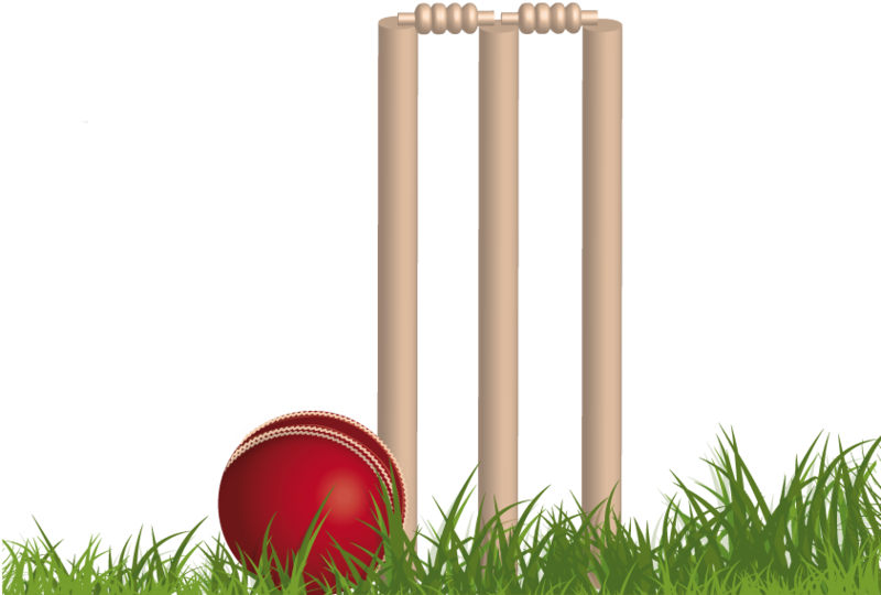 Cricket Balland Stumps PNG Image