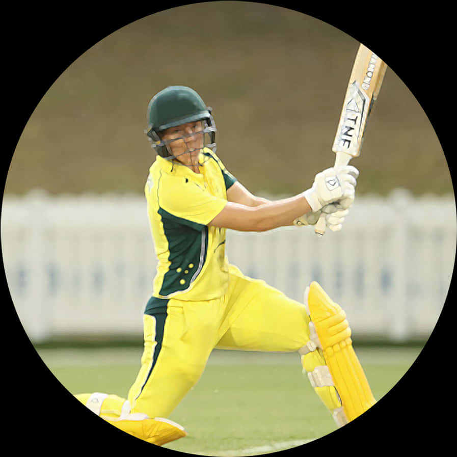 Cricket Batsman Action Shot.jpg PNG Image