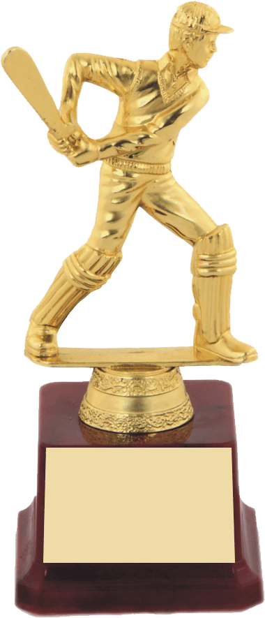 Cricket Batsman Trophy PNG Image