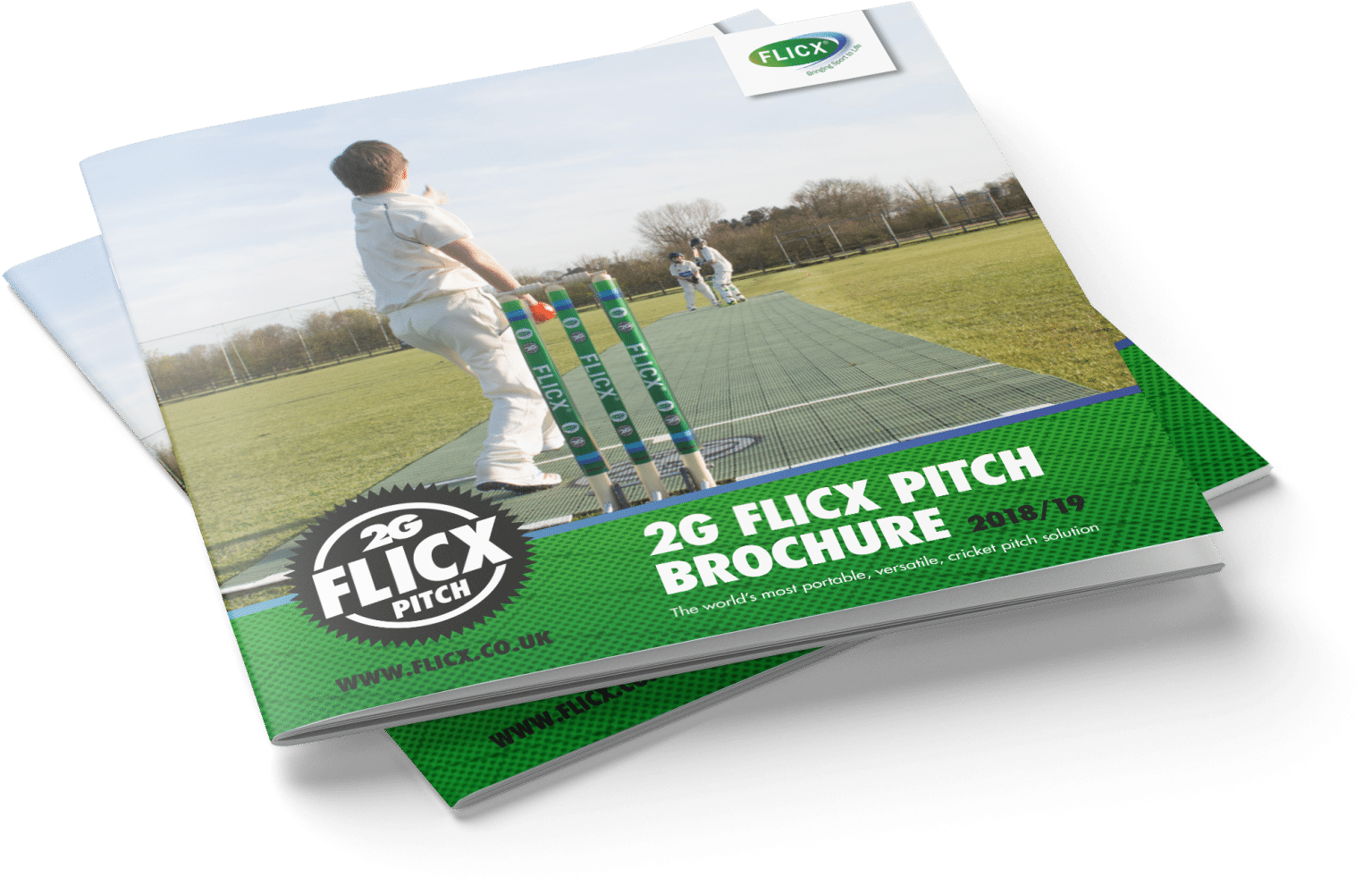 Cricket Pitch Brochure Mockup20182019 PNG Image