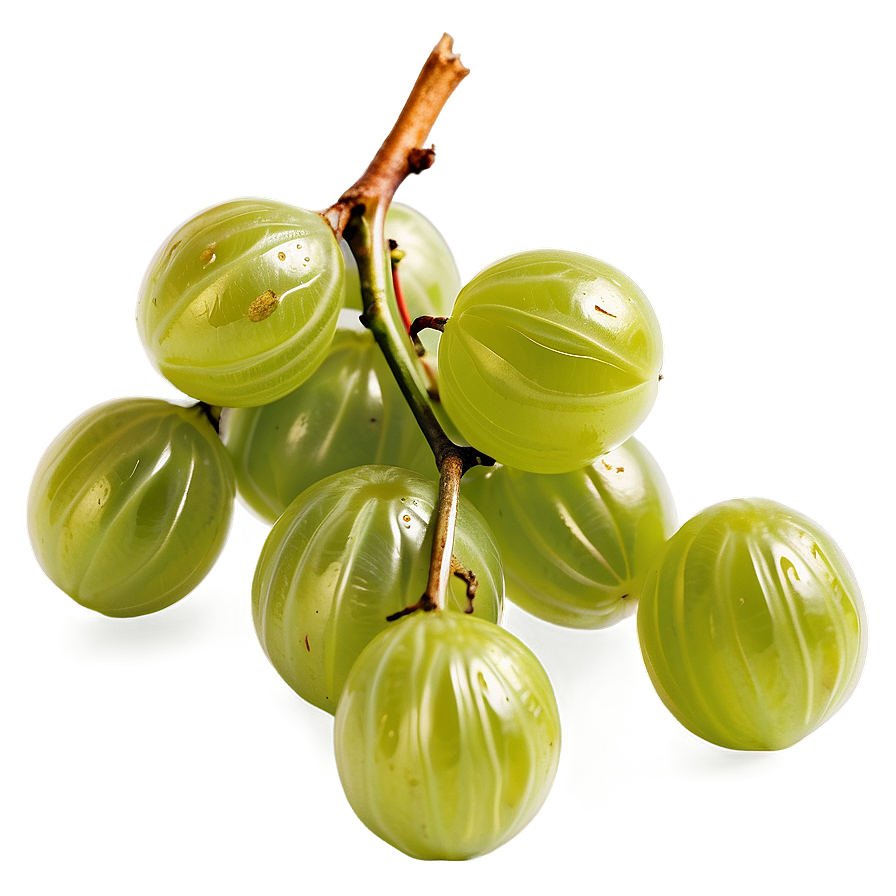 Crisp Gooseberry Png 05232024 PNG Image