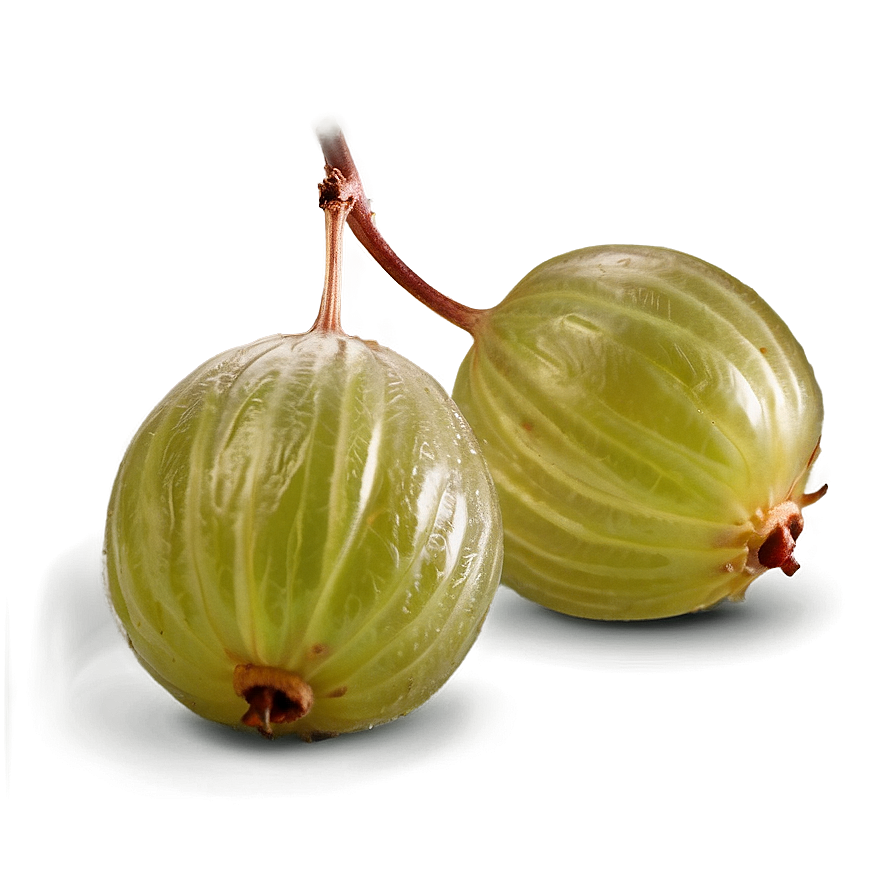 Crisp Gooseberry Png Fid84 PNG Image