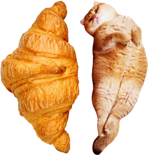 Croissant Cat_ Mirrored Symmetry PNG Image