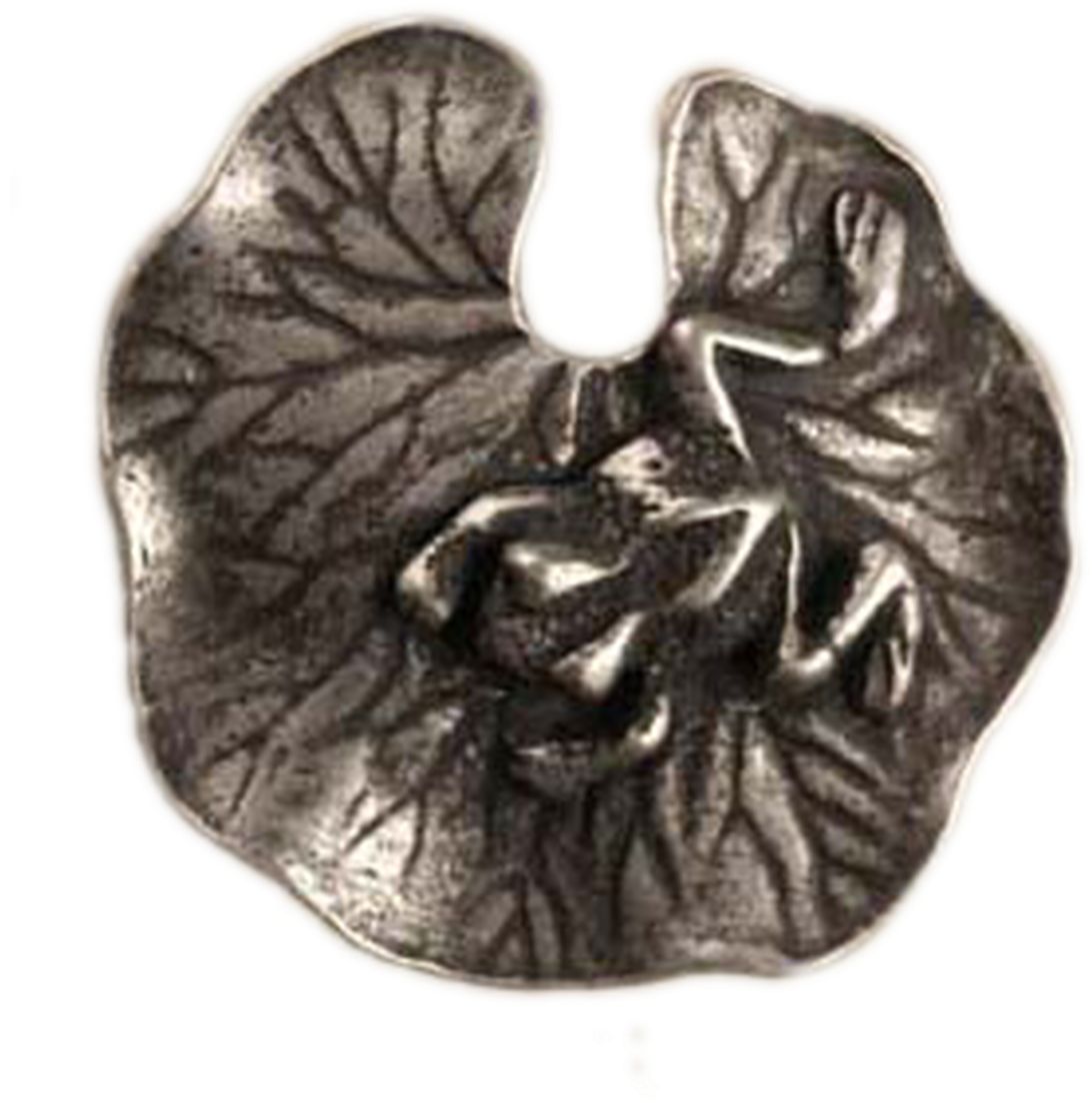 Cross Sectionof Walnut Resembling Brain PNG Image