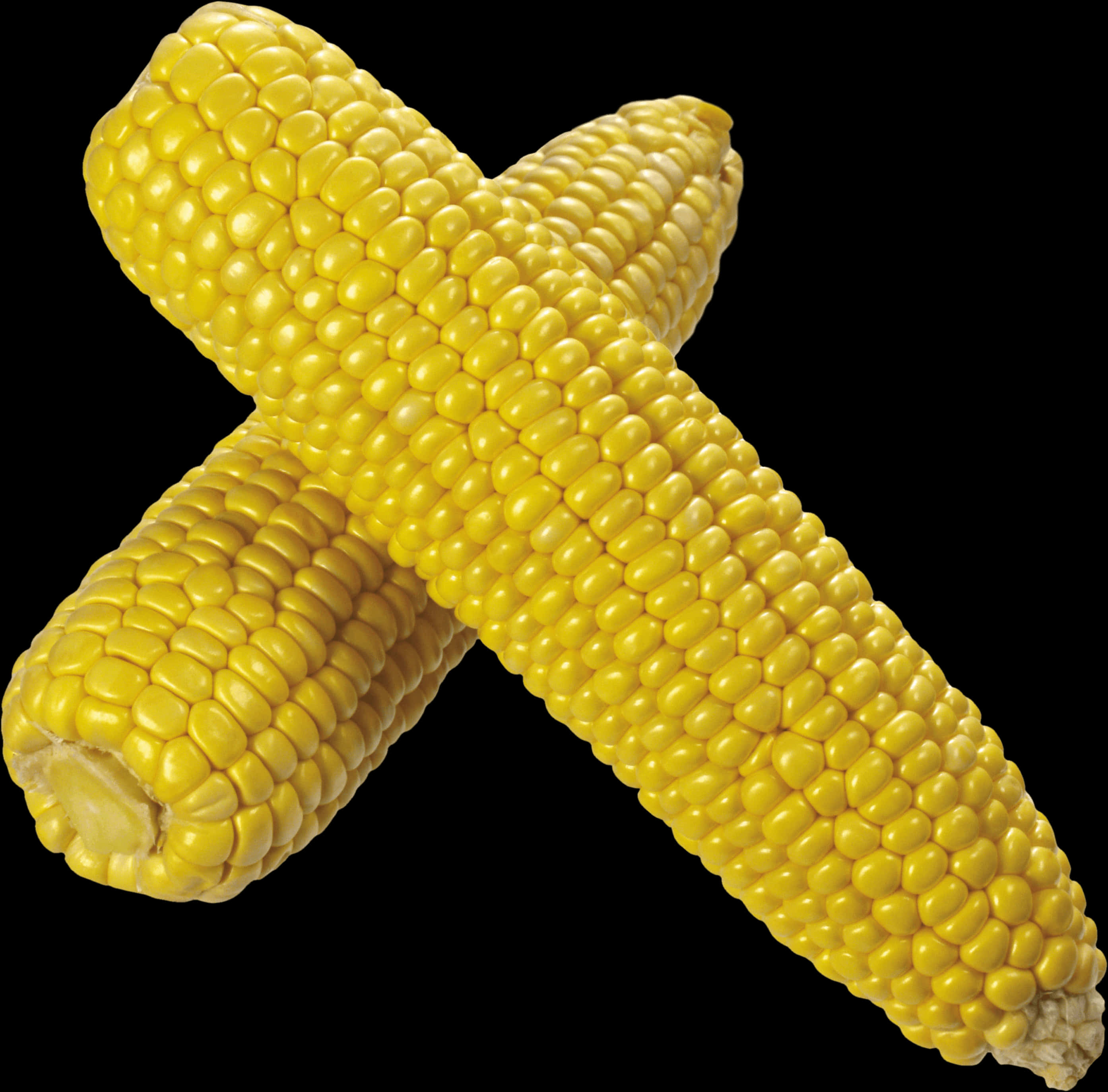 Crossed Corn Cobs PNG Image