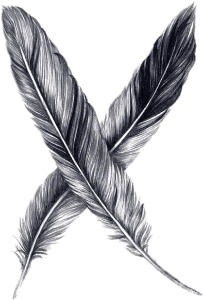 Crossed Feathers Drawing PNG Image