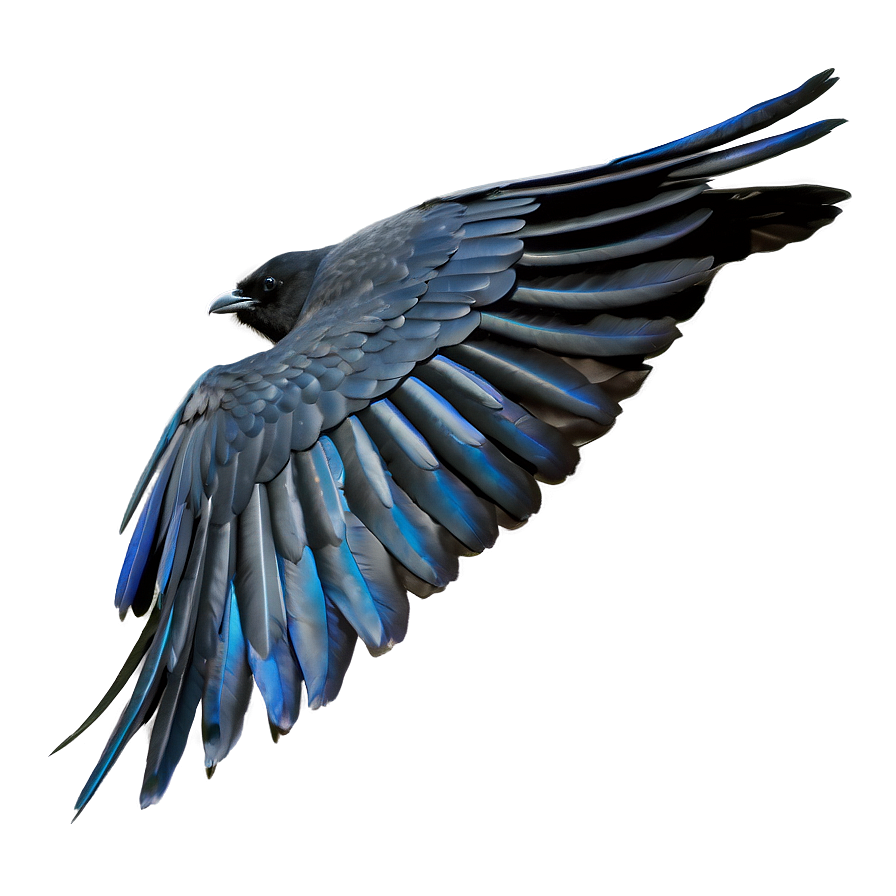 Crow Cawing In Flight Png Dxc PNG Image