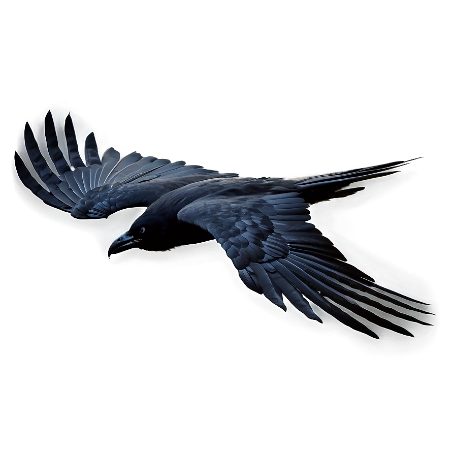 Crow In Flight Png 26 PNG Image