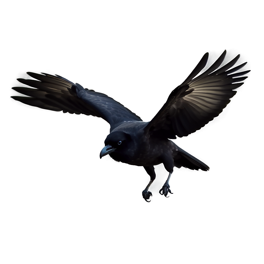 Crow In Flight Png 5 PNG Image