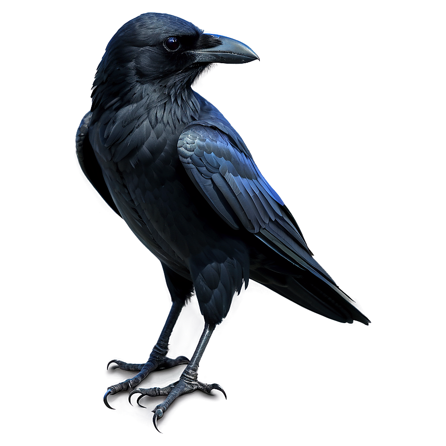 Crow Tattoo Design Png 73 PNG Image