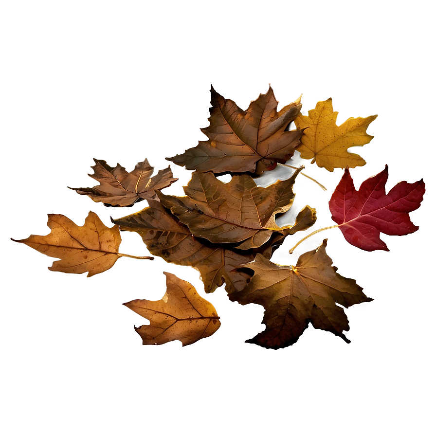 Crumbled Fall Leaves Png 05042024 PNG Image