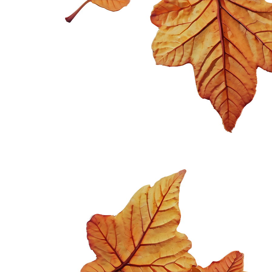 Crumbled Fall Leaves Png 05042024 PNG Image