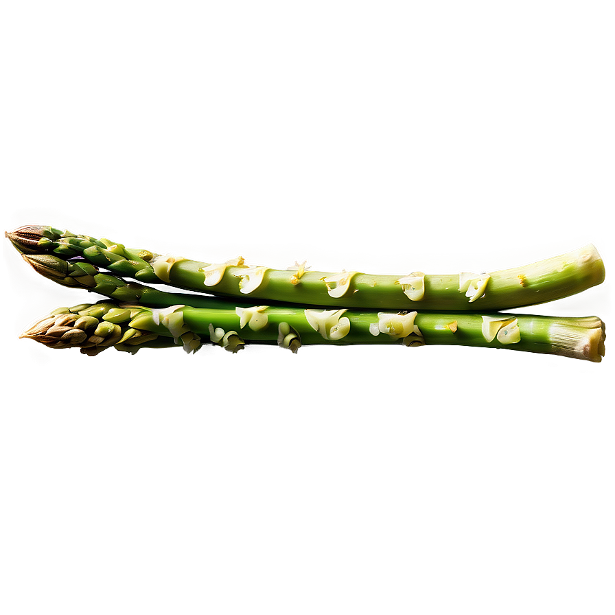 Crunchy Asparagus Snack Png 06122024 PNG Image