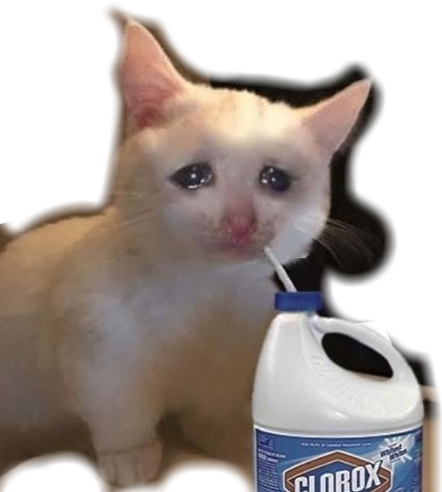 Crying Cat With Bleach Meme PNG Image