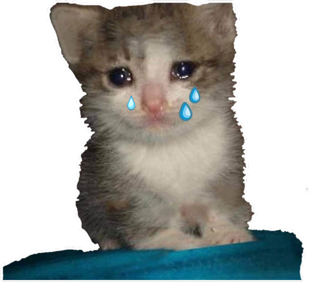 Crying_ Kitten_ Meme.png PNG Image