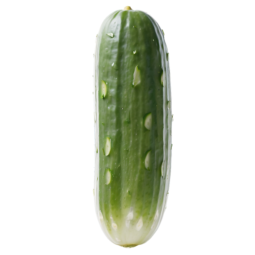 Cucumber Sunburn Png Dci90 PNG Image