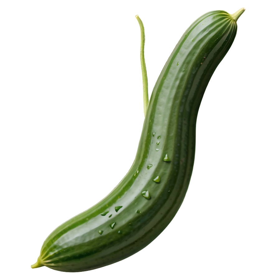 Cucumber Vine Climbing Png Het PNG Image