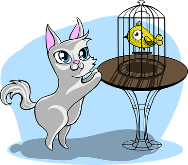 Curious Catand Bird Cage PNG Image