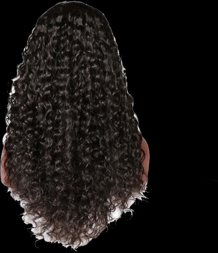 Curly Black Wig Back View PNG Image