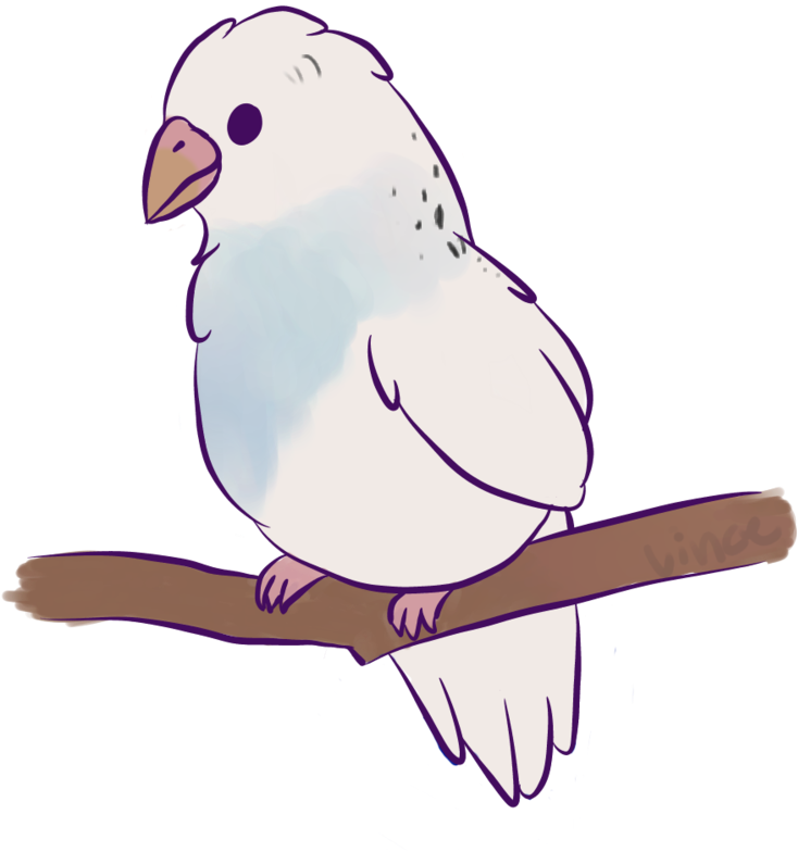 Cute Animated Budgieon Branch PNG Image