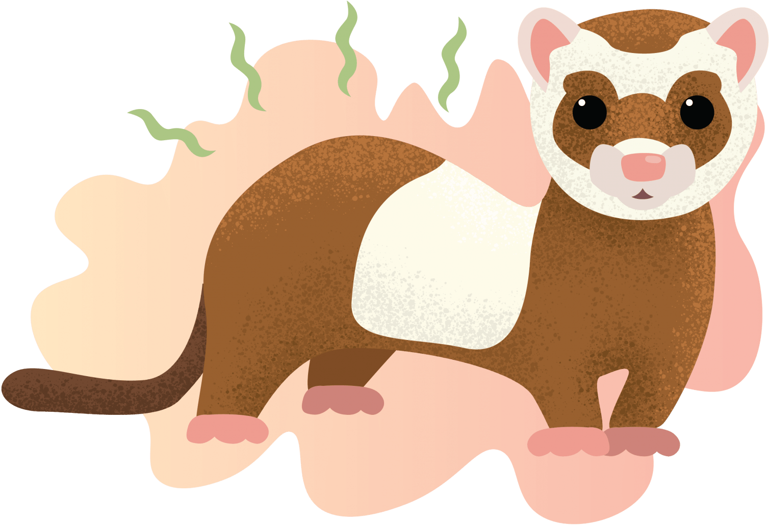 Cute Cartoon Ferret PNG Image