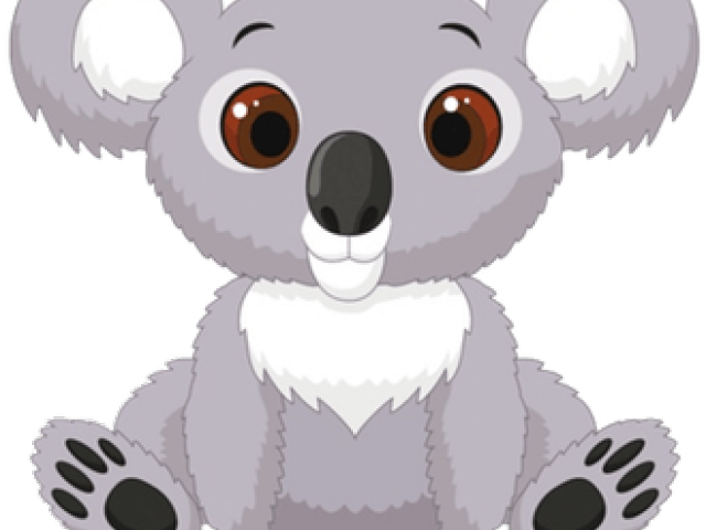 Cute Cartoon Koala PNG Image