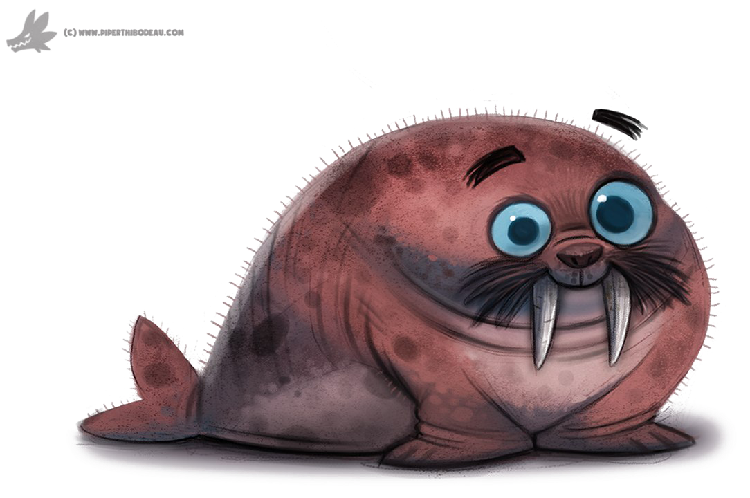 Cute Cartoon Walrus PNG Image