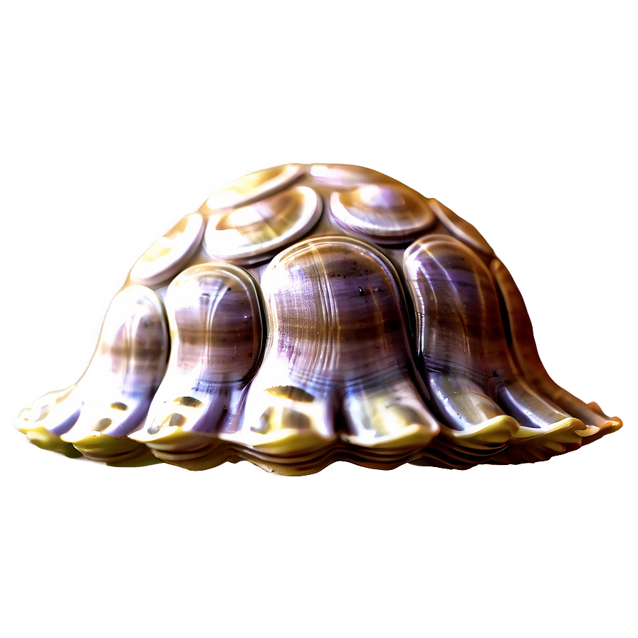 Cute Clam Emoji Png Jni87 PNG Image