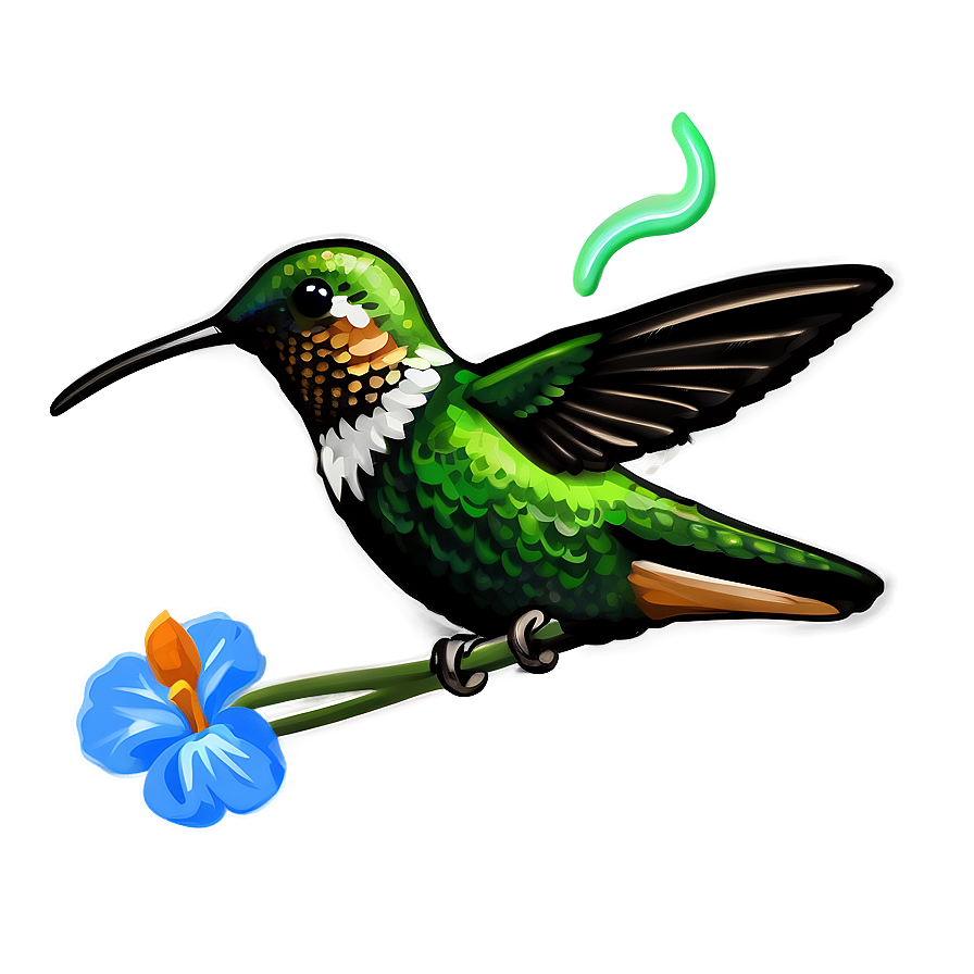 Cute Hummingbird Png 05212024 PNG Image