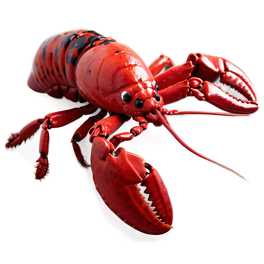 Cute Lobster Png Mvd23 PNG Image