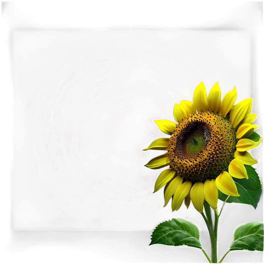 Cute Sunflower Png Grj7 PNG Image