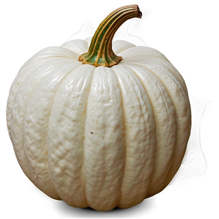 Cute White Pumpkin Png 06212024 PNG Image