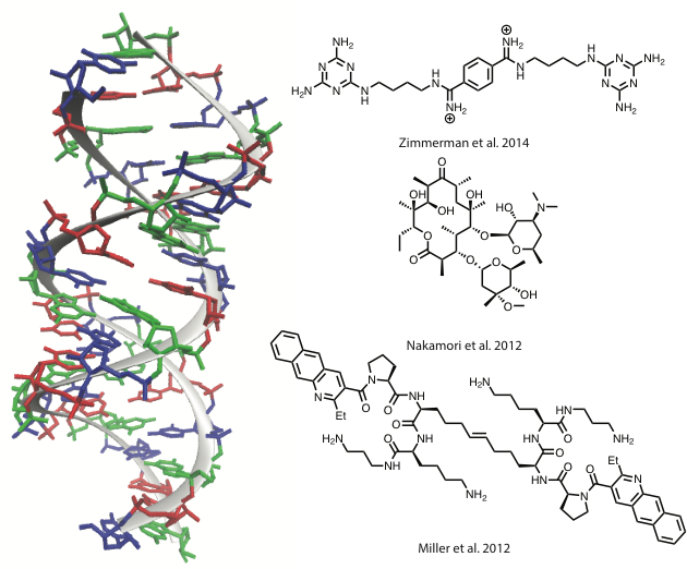 D N A Structureand Chemical Compounds PNG Image