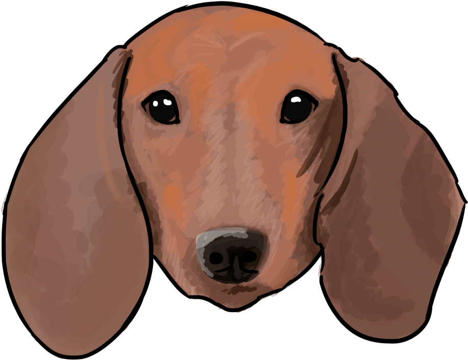 Dachshund Portrait Illustration PNG Image