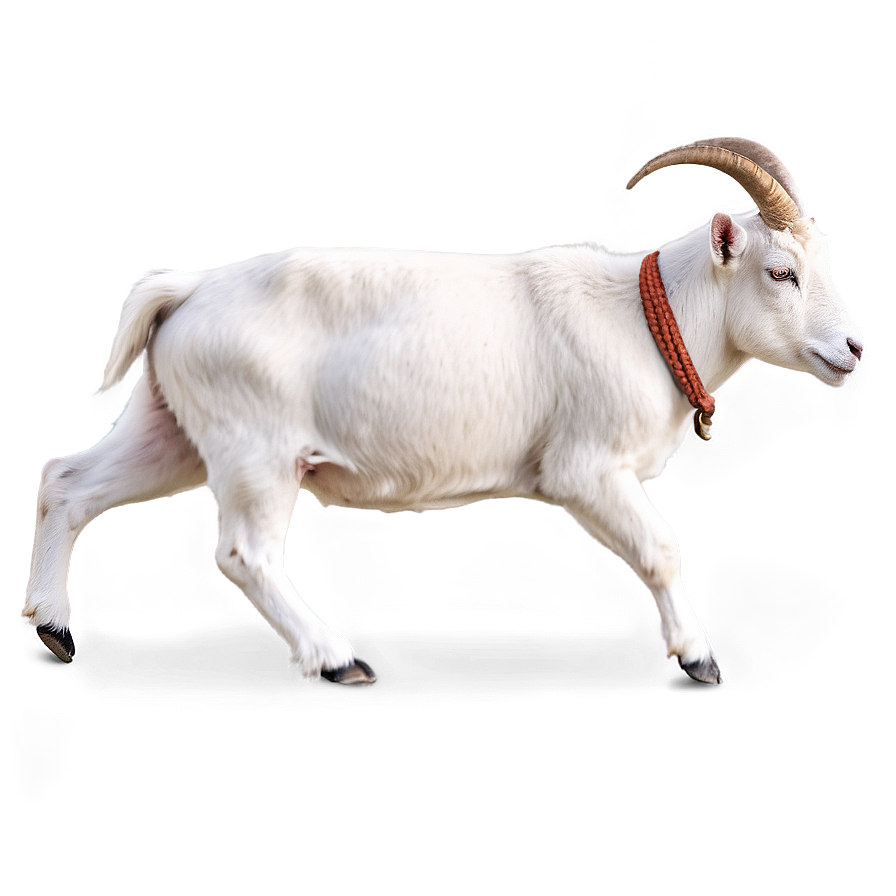 Dairy Goat Png Xqj PNG Image