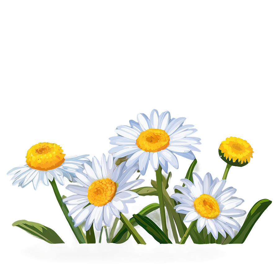 Daisies With Blue Sky Png Oft63 PNG Image