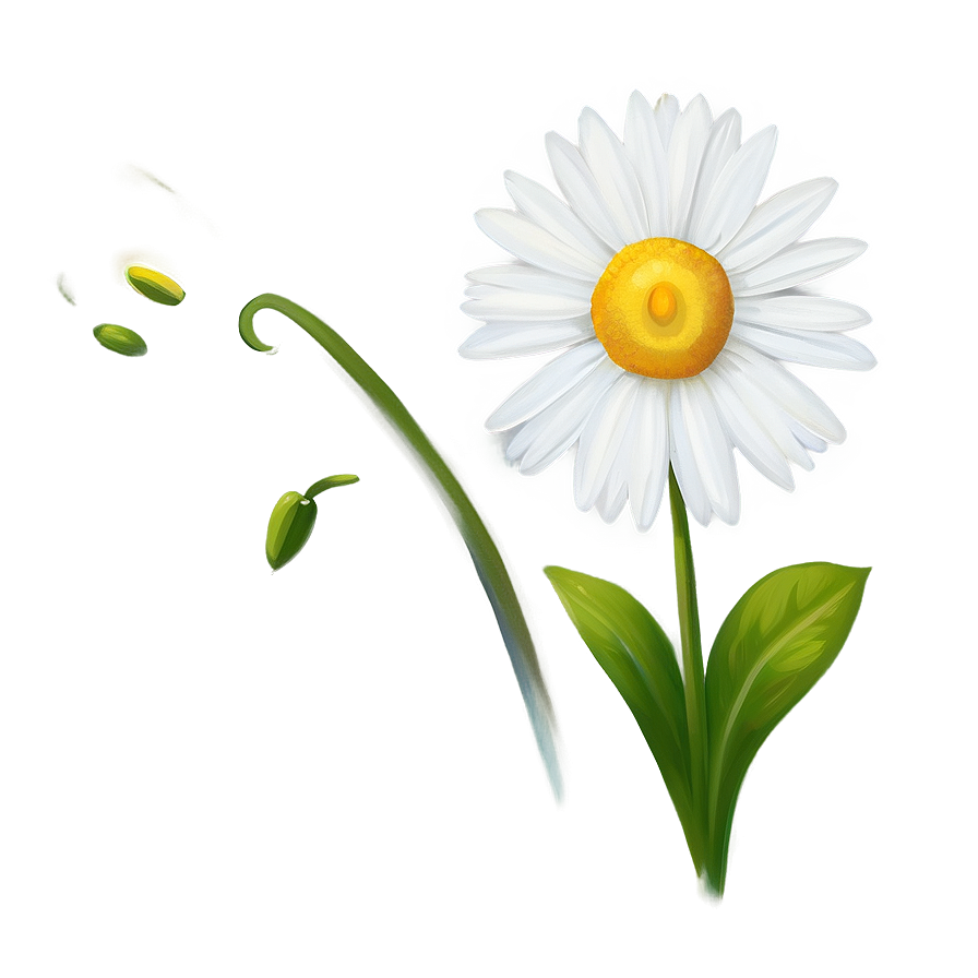 Daisy Artwork Png Ylm22 PNG Image