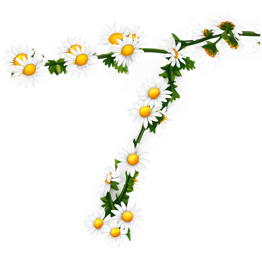 Daisy Chain Png 77 PNG Image