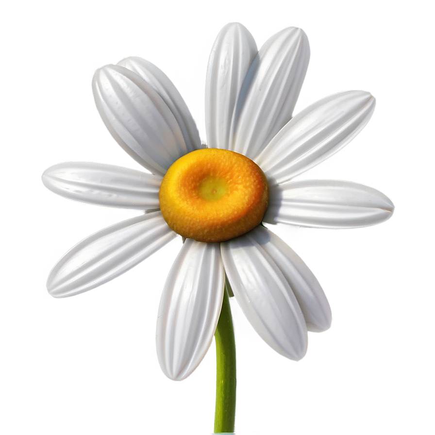 Daisy Clipart Png Wxl PNG Image