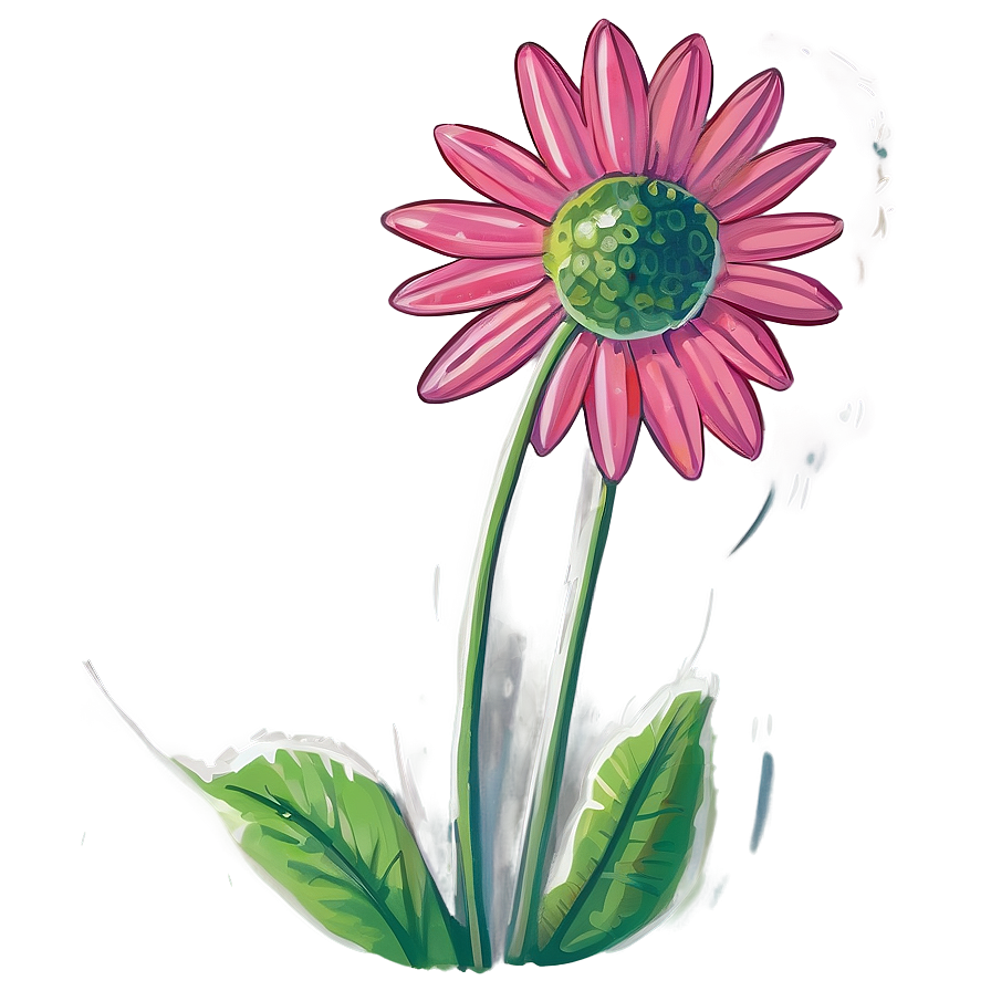 Daisy Drawing Png 05212024 PNG Image