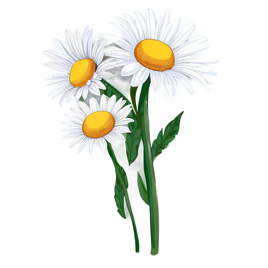 Daisy Drawing Png 6 PNG Image