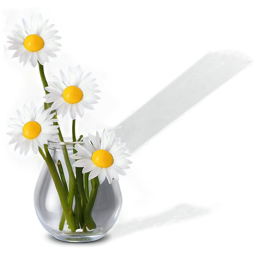 Daisy Flowers In Vase Png 06272024 PNG Image