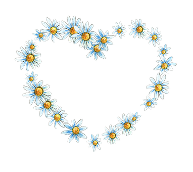 Daisy Heart Formation Black Background PNG Image