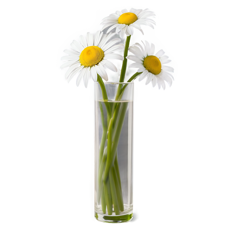 Daisy In Vase Png Qqy34 PNG Image