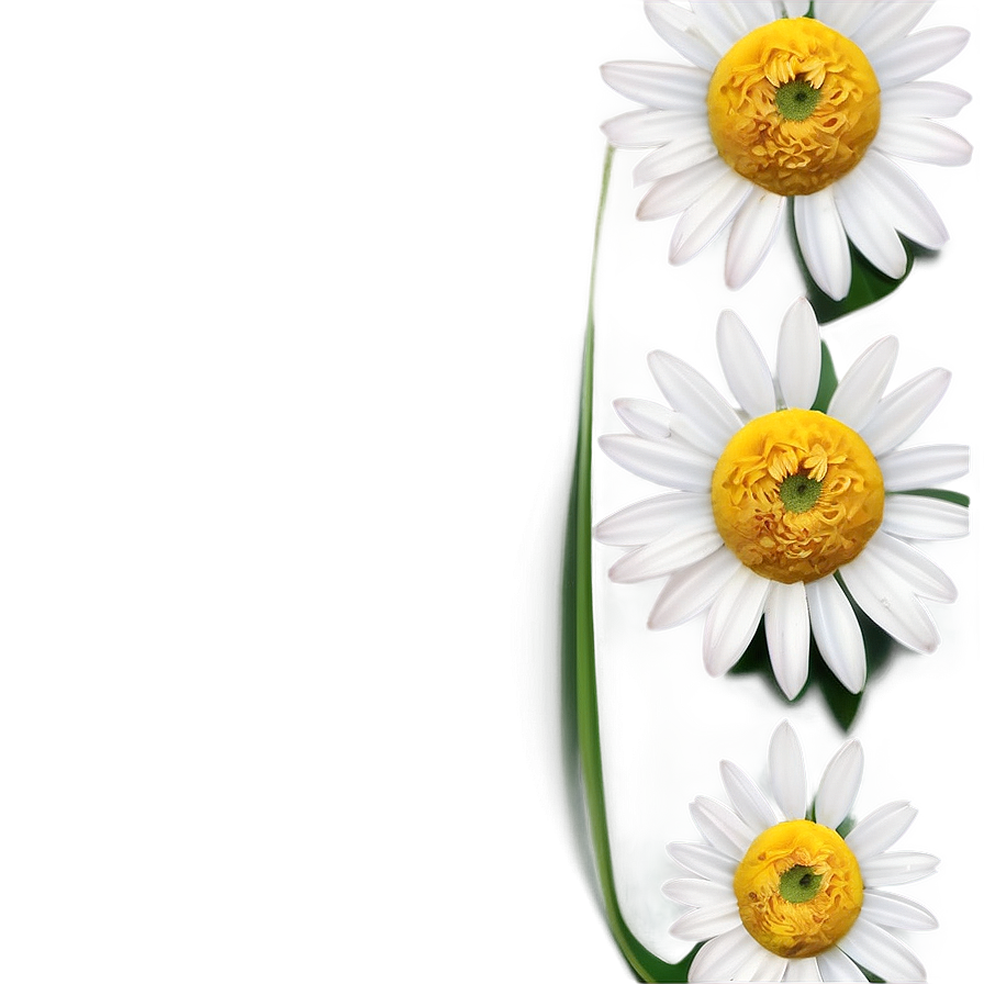 Daisy Logo Png Mmb PNG Image